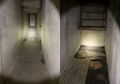 Sewa Rumah Lawas, Pria Ini Temukan Pintu Misterius yang Tidak Diungkapkan Pemiliknya, Setelah Masuk ke Dalamnya Fakta Mengerikan Tentang Rumah Tersebut Terungkap