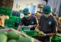 Gudang Penyimpanan dengan Sistem Pendingin sebagai Cara Jitu agar Hasil Pertanian Tidak Cepat Membusuk