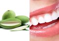 Tidak Hanya Mengatasi Morning Sickness pada Ibu Hamil, Ini 14 Manfaat Buah Mangga Muda, Termasuk Baik untuk Kesehatan Gigi