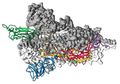 Peneliti Telah Membuat Peta 3D Pertama dari Protein Kunci Coronavirus