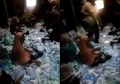 Viral Pabrik Maskernya Dituduh Tidak Steril, Begini Klarifikasi Pihak Masker Solida