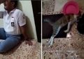 Lelaki Berseragam SMA Ini Sesenggukan Tangisi Kucing Kesayangannya Hingga Tuai Empati Netizen, Ternyata Ini yang Terjadi Pada Peliharaannya