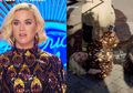 Kebocoran Gas Terjadi di Audisi American Idol, Para Juri Panik hingga Katy Perry Terjatuh