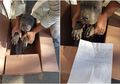 Temukan Anjing Malang di Depan Pintu, Wanita Ini Peroleh Fakta Menyayat Hati, Pemiliknya: Saya Berikan Dia Tanpa Sepengetahuan Ayah