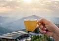 Biasa Dikonsumsi di Pagi Hari, 2 Minuman Ini Ternyata Bisa Turunkan Risiko Kanker Otak