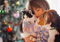 LIPI Beberkan Kebenaran Virus Corona dalam Anjing dan Kucing di Indonesia, Bisakah Menular pada Manusia?