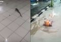 Lele Masuk Rumah Hingga Nenek-Nenek Jadi Mermaid, Inilah Beberapa Cerita Unik di Balik Banjir Jakarta Hari Ini