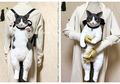 Gemas, Seniman Jepang Bikin Tas Berbentuk Kucing yang Realistis Banget