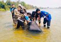 Dikira Dipenuhi Ikan Busuk, Koper Besar yang Mengambang di Sungai Ini Diambil Warga, Setelah Dibuka Isinya Membuat Gempar dan Ngeri, Nelayan: Awalnya Sulit Dibuka