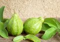 Racikan Daun Jambu Biji Untuk Kontrol Diabetes, Ini Cara Membuatnya