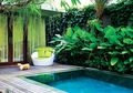 Inspirasi Taman Tropis Impian di Rumah dengan Paduan Kolam Renang di Dalamnya, Simak Tipsnya!