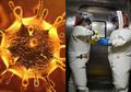 Indonesia Positif Corona: Intelijen Israel Sebut Virus Corona Merupakan Senjata Biologi Buatan China yang 'Melarikan Diri' dari Lab Penelitian di Wuhan