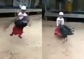 Viral Video Bocah Nekat Tantang Duel Kalkun Diiringi Lagu Drama Kolosal, Endingnya Bikin Netizen Ngakak Parah!