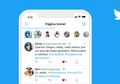Begini Cara Pakai Fitur Fleets di Twitter, Penting Meski Kurang Disukai Warganet