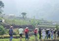4 Spot Wisata Cianjur, dari Tauco Legendaris hingga Berkebun di Kaki Gunung, Patut Didatangi!