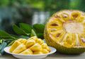 Indeks Glikemik Rendah, Buah Nangka Cocok Untuk Kontrol Diabetes