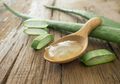Obat Alami Penurun Panas Tinggi, Cukup Gunakan Tanaman Lidah Buaya, Begini Cara dan Langkah-langkahnya!