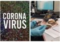 Takut Uangnya Terpapar Virus Corona, Wanita ini Nekat Panggang Uang Rp 6 Juta di Microvawe yang Terjadi Selanjutnya Malah Bikin Dirinya Menyesal!