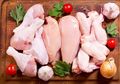 Menyimpan Daging Ayam tak Semudah yang Disangka, Begitu pun Cara Mengolahnya, Ada 3 Bakteri Berbahaya yang Siap Menginfeksi Manusia