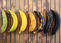 Wajib Tahu, Beda Tingkat Kematangan Pisang Ternyata Beda Nutrisinya