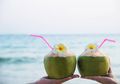 Pantas Saja Wanita Ini Ketagihan Minum Air Kelapa, Ternyata Banyak Kandungan Berkhasiatnya yang Masih Jarang Diketahui Orang, Apa Itu?
