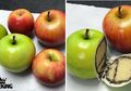 Cowok Ini Bikin Kue Berbentuk Buah Hingga Sayur, Mirip Banget Sampe Pangling