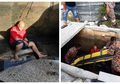 Selamatkan Anak Anjing di Selokan, Pria Ini Ambruk dan Alami Cedera Kaki Parah