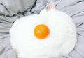 Lucu, Kucing-Kucing Ini Bikin Mata Kita Berpikir Mereka Adalah Makanan