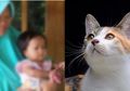 Bocah Asal Sragen yang Jari Tangnnya Digigit Kutu Kucing Meninggal, Benarkah Kutu Kucing Bisa Membunuh Manusia?