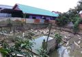 Tinggal Dekat Kandang 32 Buaya yang Hanya Berdinding Seng dan Papan, Warga Mengaku Takut hingga Ayam Sering Hilang