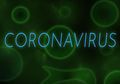 Bukannya Saling Bantu untuk Perang Lawan Virus Corona, Negara Ini Malah Lantang Rendahkan Sistem Kesehatan Indonesia, Blak-blakan Sindir Tanah Air Lebih Payah Atasi Wabah Mematikan
