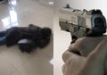 Tersungkur Ditembak Polisi Sampai Mati, Pria Ini Awalnya Ngamuk Pakai Badik Gara-gara Ogah Ditilang, Kompolnas Angkat Bicara