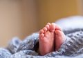 Diduga Hasil Hubungan Gelap, Potongan Mayat Bayi Ditemukan di Dua Tempat Terpisah Salah Satunya Tengah Diperebutkan Anjing , Ada Bagian Tubuh yang Masih Dalam Pencarian