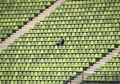 Pria Jepang Dihukum Setelah Booking 1.873 Kursi Stadion Baseball Lalu Dibatalkan, Ternyata Ini Tujuannya