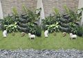 Bosen Kerja di Rumah? Luangkan Waktu untuk Mendesain Taman Kering Yuk, Mudah!