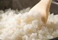 Pantas Saja Cepat Lembek dan Hancur, Jangan Lagi Memasak Nasi di Rice Cooker dengan 6 Cara Ini!