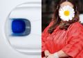 Terbongkar, Artis yang Pernah Gunakan Toilet untuk Buang Barang Haram, Polisi Temukan 0,36 Gram Sabu di Sana!