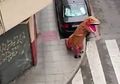Negaranya Berlakukan Lockdown, Warga Spanyol Ini Pakai Kostum T-Rex Buat Keluar Rumah