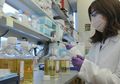 Lebih dari 70 Persen Pasien di China Sembuh, Deretan Kabar Baik soal Virus Corona yang Perlu Anda Ketahui