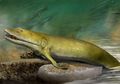 Sirip Ikan Prasejarah 380 Juta Tahun Ini Perlihatkan Bukti Asal-usul Evolusi Tangan Manusia, Paleontologi: 'Setiap Bagian Tubuh Kita Punya Sejarah Panjang'