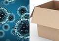 Bisakah Kita Tertular Virus Corona dari Pembungkus Paket Belanja Online?