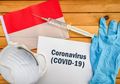 Masyarakat Masih Banyak Tak Paham Soal Virus Corona, Ini Penjelasan Lengkapnya