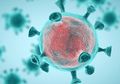 Kabar Baik, Seorang Pakar dari Indonesia, Ungkap Virus Corona Bisa Mati Sendiri Meskipun Sudah Masuk ke Dalam Tubuh
