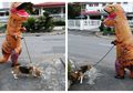 Biar Nggak Kena Virus Corona, Orang Ini Ajak Jalan-jalan Anjingnya Pakai Kostum T-Rex