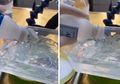 Viral Tutorial Bikin Hand Sanitizer Sendiri dari Selebgram Indonesia, Peneliti Kimia LIPI Jelaskan Bahayanya