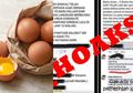 Bayi Baru Lahir yang Tiba-Tiba Bicara Telur Rebus Bisa Cegah Covid-19 Ternyata Hoaks, Ini Sebenarnya Manfaat Telur untuk Tubuh Kita!