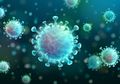 Sistem Kesehatan Indonesia di Mata Internasional: Berada di Ambang Jurang saat Gelombang Virus Corona Datang