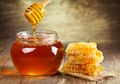 5 Manfaat Minum Madu yang Diminum Sebelum Tidur untuk Kesehatan Tubuh