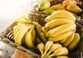 Cobalah Rutin Makan Dua Buah Pisang Setiap Hari, Rasakan Perubahan Luar Biasa Ini dalam Tubuh