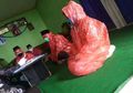 Viral Pasangan Pengantin Nekat Menikah di Tengah Wabah Virus Corona, Pakai Pakai Masker dan Jas Hujan, Ternyata Sang Suami Sudah Berstatus ODP